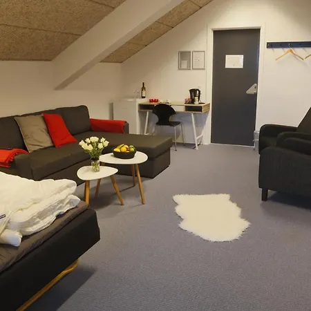 Danhostel Centret 3* Rødding