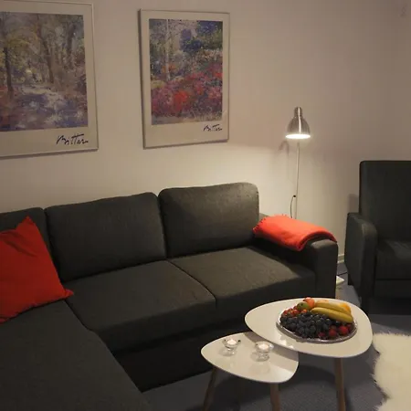 Apartment Danhostel Centret Rodding